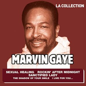 Collection - Gaye, Marvin (CDs)