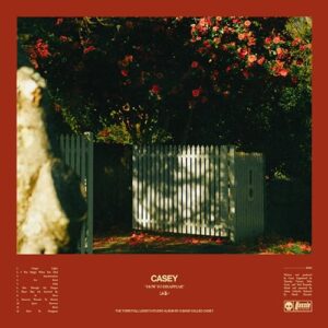 How to Disappear - Casey (CDs)