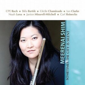 Sometimes the City Is Silent - Shim, Meerenai (CDs)