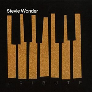 Stevie Wonder Tribute - Various (CDs)