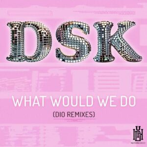 What Would We Do (DIO Remixes) - DSK (CDs)