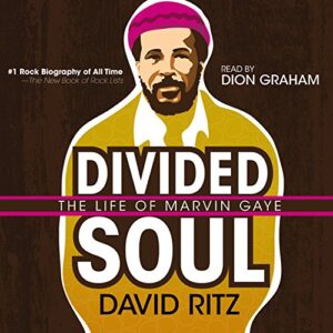 Divided Soul: The Life of Marvin Gaye - Ritz, David (CDs)