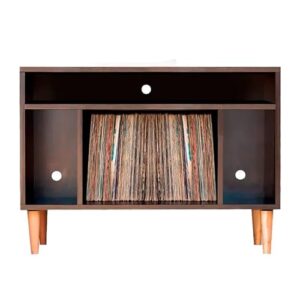 Rack Para Disco de Vinil e Aparelho EV-2230 (Equipamentos)