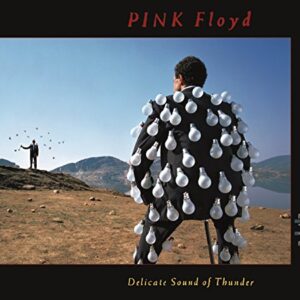 Delicate Sound Of Thunder (Live) (CDs)