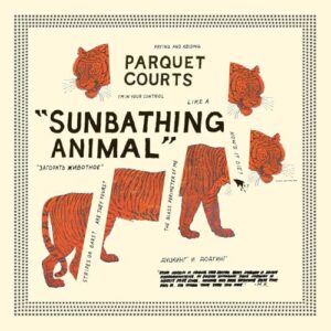 Sunbathing Animal - Parquet Courts (CDs)