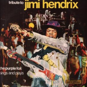Tribute To Jimi Hendrix - Jimi Hendrix (Discos de Vinil)