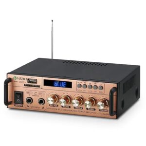 Amplificador de potência de áudio VD-AK198E,Bluetooth 5.0 HiFi 300W,2 Entradas de Microfone para Karaokê, Suporta USB/SD/FM,Alimentação 220V/12V, para Falantes (Equipamentos)