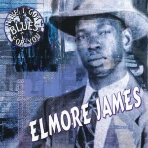 Have I Got Blues For You - Elmore James (CDs)