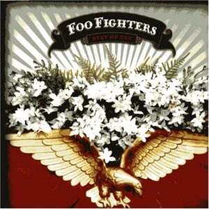 Best of You - Foo Fighters (CDs)