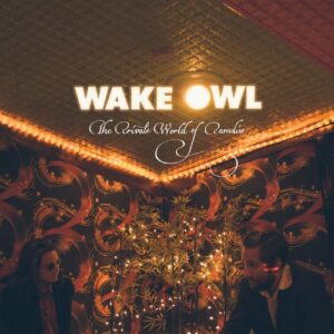 Private World of Paradise - Wake Owl (CDs)