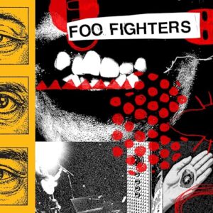 Your Favorite Toy - Foo Fighters (Discos de Vinil)