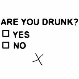 Are You Drunk? Yes No decalque adesivo de vinil - 12 cm engraçado para veículos, carros, para-choque, janela, adultos, laptop, copos, garrafas de água, caminhões (Discos de Vinil)
