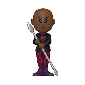 Funko Refrigerante de vinil: Pantera Negra Wakanda Forever - Okoye com Chase (os estilos podem variar) - Funko (Discos de Vinil)
