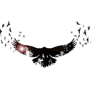 DesignToRefine Decalque de parede de vinil pássaros corvo estilo gótico árvores animais natureza adesivos grande decoração (1336ig) vermelho chama (Discos de Vinil)