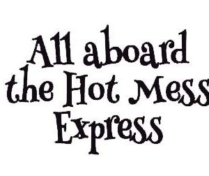 Creative Concept Ideas Adesivo de vinil All Aboard The Hot Mess Express Funny CCI |Laptop Carros Caminhões Vans Paredes | Preto | 14 x 8,9 cm | CCI2204 (Discos de Vinil)
