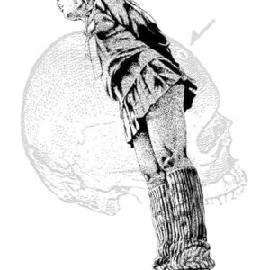Homunculus (Omnibus) Vol. 3-4: 2
