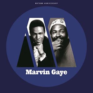 Marvin Gaye - Motown Anniversary Marvin Gaye (Discos de Vinil)