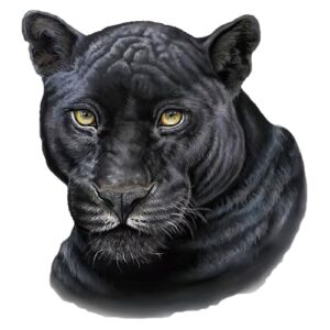 Zcbang Decalque 3D preto com estampa de leopardo conjunto de 2 peças de vinil adequado para móveis, carro, carro, janelas, para-choques, para-brisa traseiro, laptops, malas, paredes e outras (Discos de Vinil)