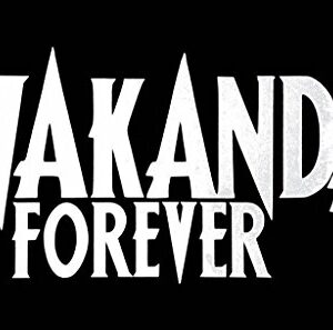Adesivo de vinil CCI Wakanda Forever Black Panther | Carros Caminhões Vans Walls Laptop| Branco | 16,5 x 3,25 pol. |CCI1625 (Discos de Vinil)