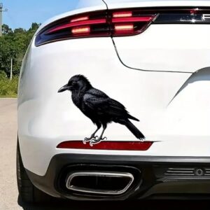 Adesivo decalque corvo preto para janela de carro, para-choques, design de pássaro realista, decalque de vinil de 12,7 cm, impermeável, cortado para carros, janelas, laptops HN-01D (Discos de Vinil)