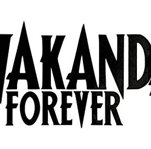 Wakanda Forever Decalque Vinil Adesivo | Carros Caminhões Vans Paredes Laptop | Preto |16,5 x 8,3 cm|CCI1628 (Discos de Vinil)