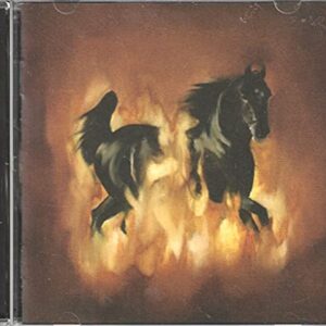 Besnard Lakes Are the Dark Horse - Besnard Lakes (CDs)