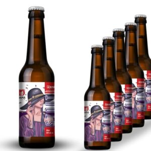 Cerveja Stout Dama Bier 355ml Kit 6 unidades (Cervejas)