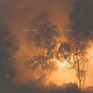 BLINDFALLER (CLEAR ORANGE VINYL) - Watchhouse (Discos de Vinil)