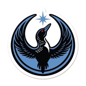 Adesivo antifascismo Rebel Loon Minnesota – Decalque de vinil para garrafas de água, laptops, tablets de 14 cm (adesivo) (Discos de Vinil)