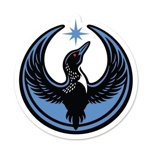 Adesivo antifascismo Rebel Loon Minnesota – Decalque de vinil para garrafas de água, laptops, tablets de 14 cm (adesivo) (Discos de Vinil)
