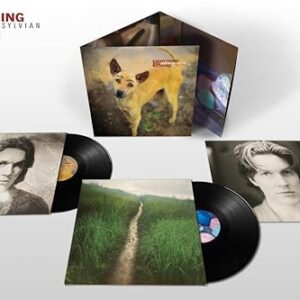 Everything & Nothing [VINYL] - David Sylvian (Discos de Vinil)