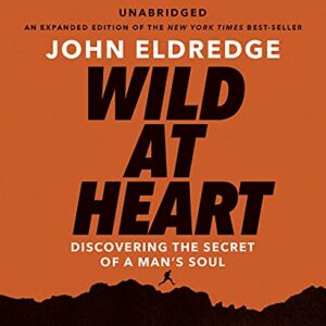 Wild at Heart: Discovering the Secret of a Man's Soul - John Eldredge (CDs)