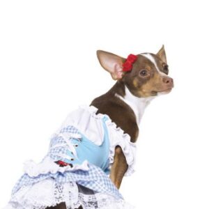 2 Pc Wizard Of Oz Dorothy Toto Cute Dog (Blue/White;Small) (Discos de Vinil)