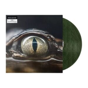 Glimpse Of Us (Limited to 5000 Copies Forest Green Colored Vinyl 12" Single) (Discos de Vinil)