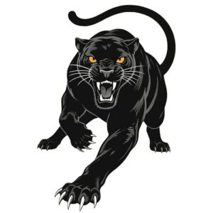 Pacote com 2 adesivos de vinil Pantera Negra - Adesivo de carro preto brilhante elegante para janela, motocicleta, capacete - à prova d'água removível para laptop e caminhão Z-109 (Discos de Vinil)