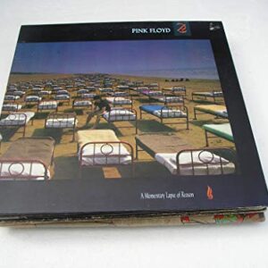 A Momentary Lapse Of Reason [Disco de Vinil] - Pink Floyd (Discos de Vinil)