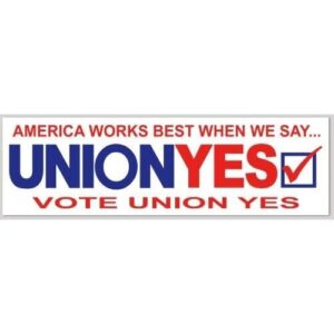 Kramer sticker's shop Adesivo de vinil America Works Best When We Say Vote Union Yes para carro, caminhão, janela, decalque de para-choque de carro 8 x 6,3 cm (Discos de Vinil)