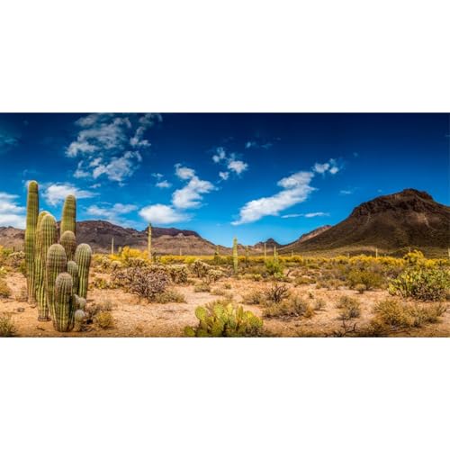 AWERT 48 x 24 polegadas fundo de habitat réptil céu azul oásis cacto deserto terrário fundo vinil (Discos de Vinil)