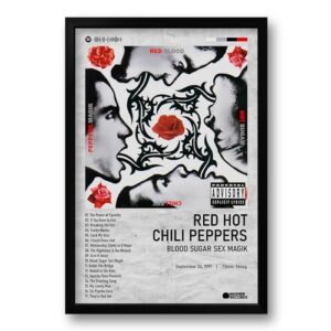 Genérico Quadro Álbum Blood Sugar Sex Magik - Red Hot Chili Peppers - 40x60cm - Arte para Parede - Retrô - Indoor (Discos de Vinil)