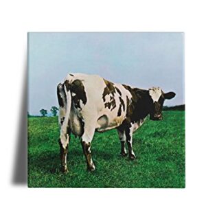 Azulejo Decorativo Pink Floyd Atom Heart Mother 15x15 (Discos de Vinil)