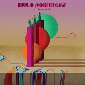 WHAT YOU WANTED - Wild Powwers (Discos de Vinil)