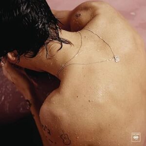 (Self Title Album) by Harry Styles - Harry Styles (Discos de Vinil)