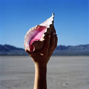 The Killers - Wonderful Wonderful [CD]