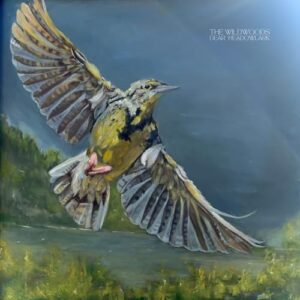Dear Meadowlark - The Wildwoods (CDs)