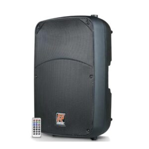 Caixa Ativa Staner Bi-Amplificada 15" 2-Vias 300WRMS SR315A (Equipamentos)