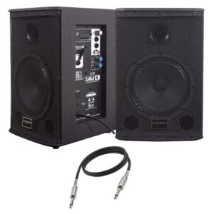 Kit Caixa Ativa Passiva 8 225w Saga Usb Bt FM Bar Auditório Ar Livre Área (Equipamentos)