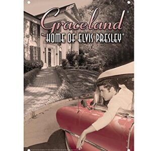 Placa de lata MidSouth Products Elvis Presley 8x11,5 em carro na Graceland (Discos de Vinil)
