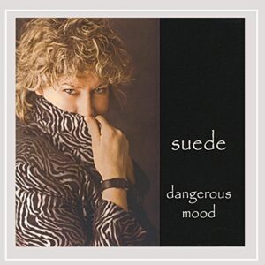 Capa para Bebê conforto 1 peça Luxuoso - Suede (CDs)