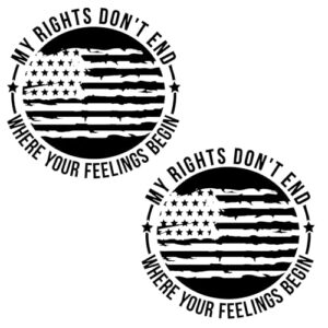 eDesign Adesivo de vinil My Rights Don't End Where Your Feelings Begin - 12 cm - Adesivo de vinil premium para carros, caminhões, laptops e muito mais - À prova de intempéries e durável, pacote com 2 (Discos de Vinil)