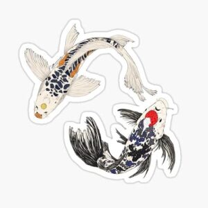 Adesivo de vinil Koi Fish Crap decalque para laptop parede janela para-choque 12,7 cm (Discos de Vinil)